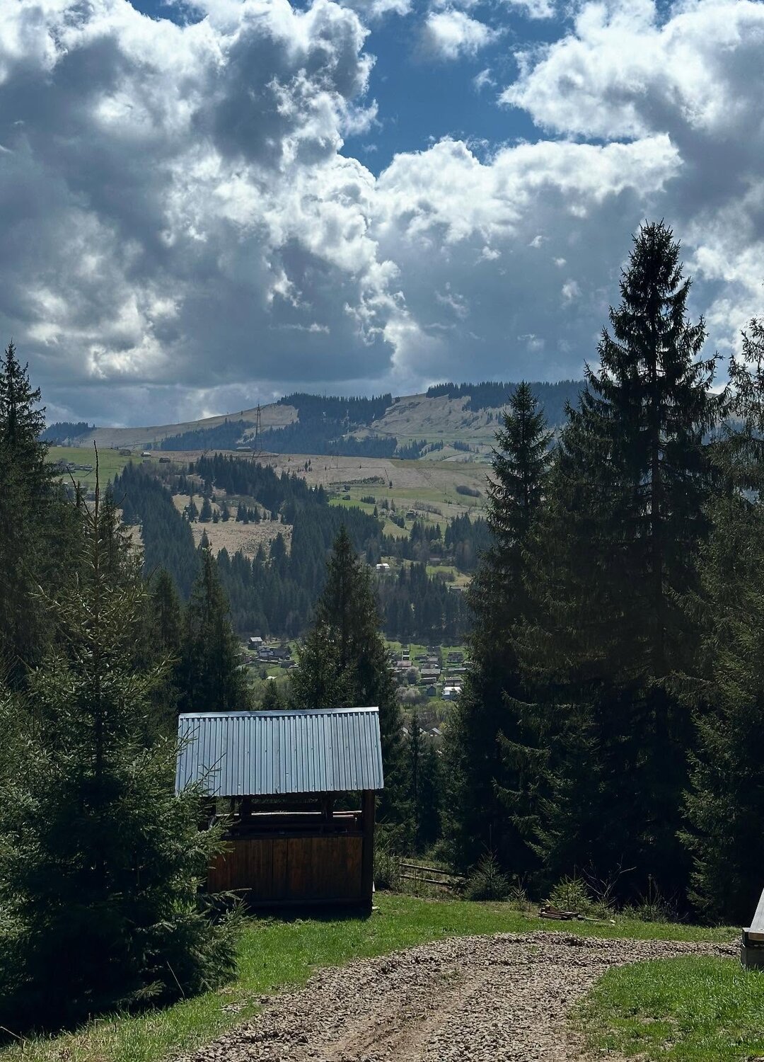 Панорама Карпатських гір