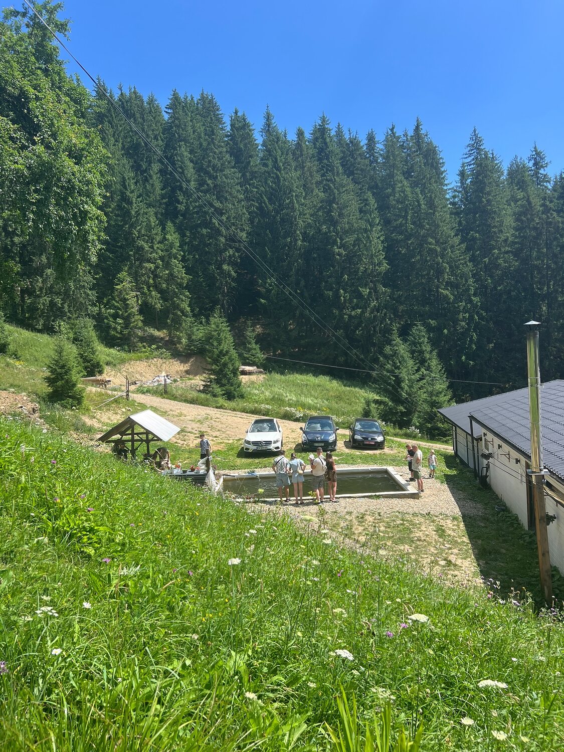 Комплекс і форелеві ставки